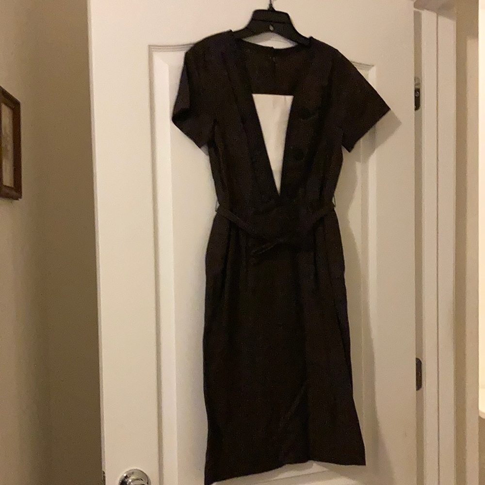 Rembrandt Vintage 1950 Daytime Dress.